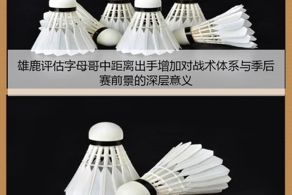 雄鹿评估字母哥中距离出手增加对战术体系与季后赛前景的深层意义