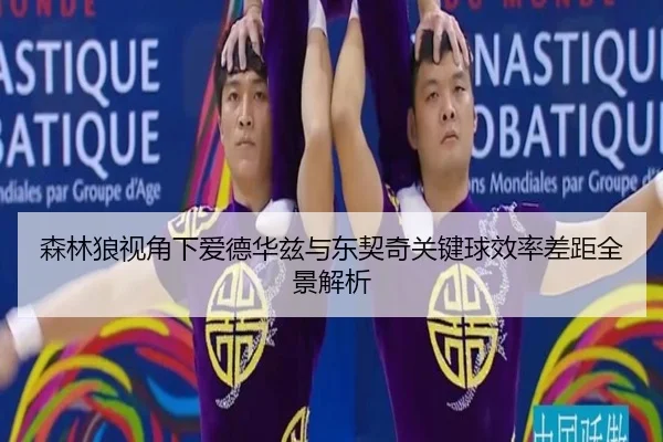 森林狼视角下爱德华兹与东契奇关键球效率差距全景解析 | kaiyun
